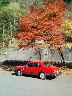 車も紅葉!?
