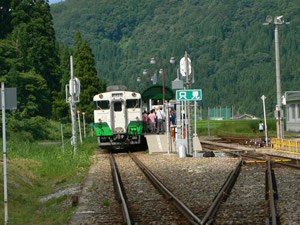 沢山?降りてきた